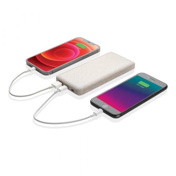 Power bank 10000 mAh P010267X AX-P322.299