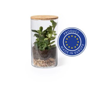 Szklane terrarium, nasiona kaktusa P043777X AX-V0917-00