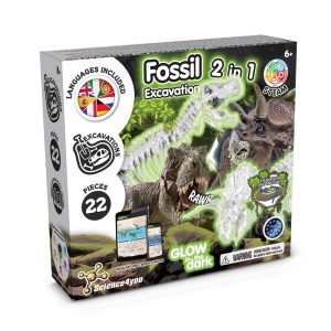 2 in 1 Fossil Excavation Kit I. Gra edukacyjna dla dzieci P066927S ST-35823-100