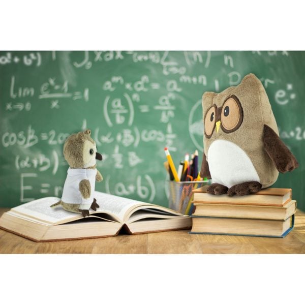 Pluszowa poduszka, sowa | Professowl P010307X