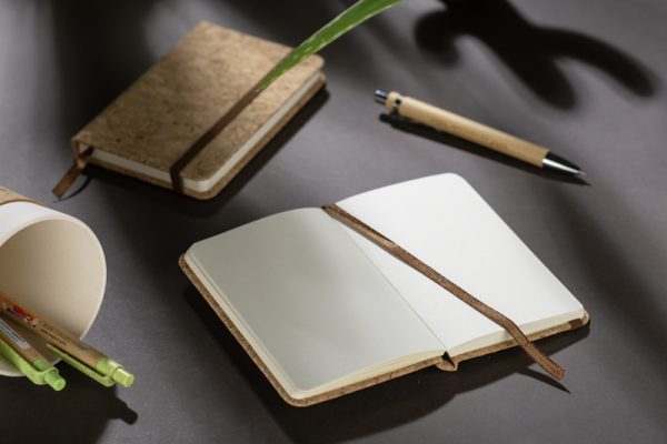 Notes CORA A6 P056522A