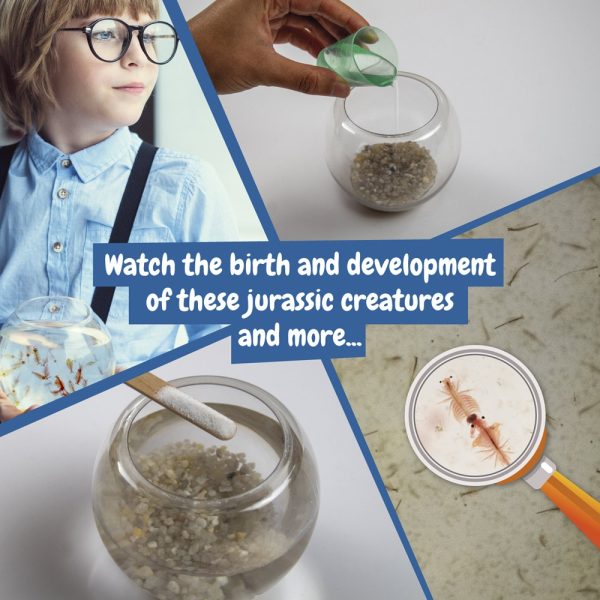 Jurassic Pets Kit II. Gra edukacyjna dostarczana z papierową torebką prezentową (115 g/m²) P066857S