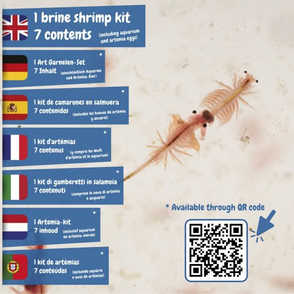 Jurassic Pets Kit II. Gra edukacyjna dostarczana z papierową torebką prezentową (115 g/m²) P066857S