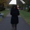 Parasol ISTA P101617A