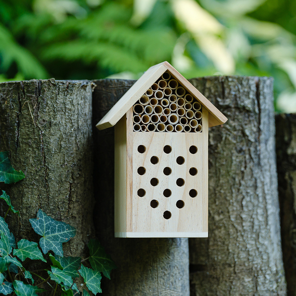 Domek dla owadów Bee P001544R