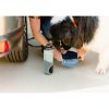 Składana miska dla psa Doggie P046976R