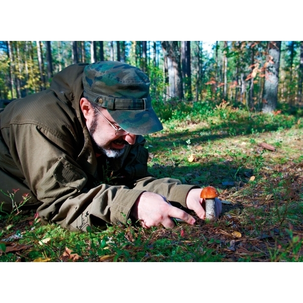 Nóż do grzybów PILZ Schwarzwolf P085809K