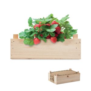 Zestaw do uprawy truskawek P039844O MI-MO6506-40