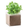 Zestaw do uprawy "Bazylia" P019390O