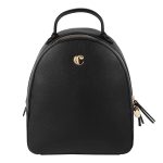 Okulary przeciwsłoneczne Alesia Black P091478P PM-CGS218A