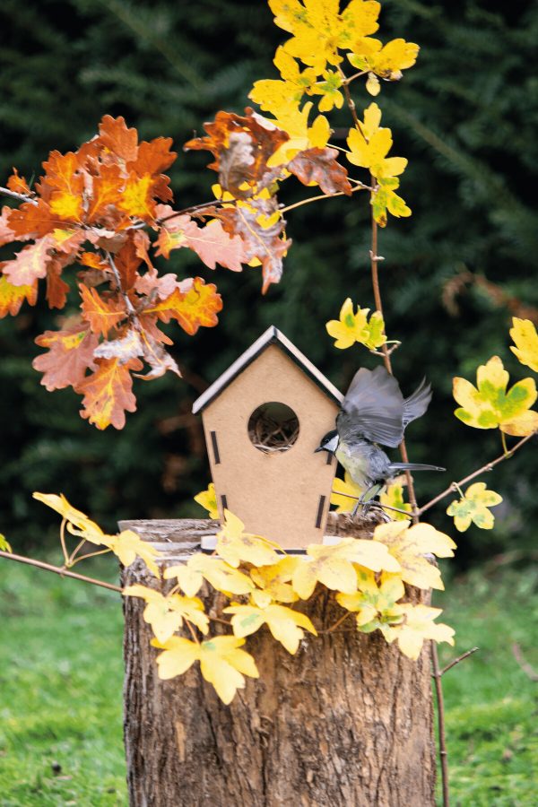 Budka dla ptaków ECO HOME P038720I