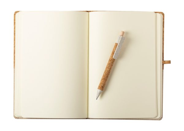 Notes P113511D