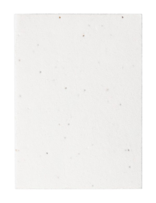 Notatnik samoprzylepny z papieru nasiennego P116359D