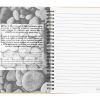 Notes z papieru z kamienia P120687D