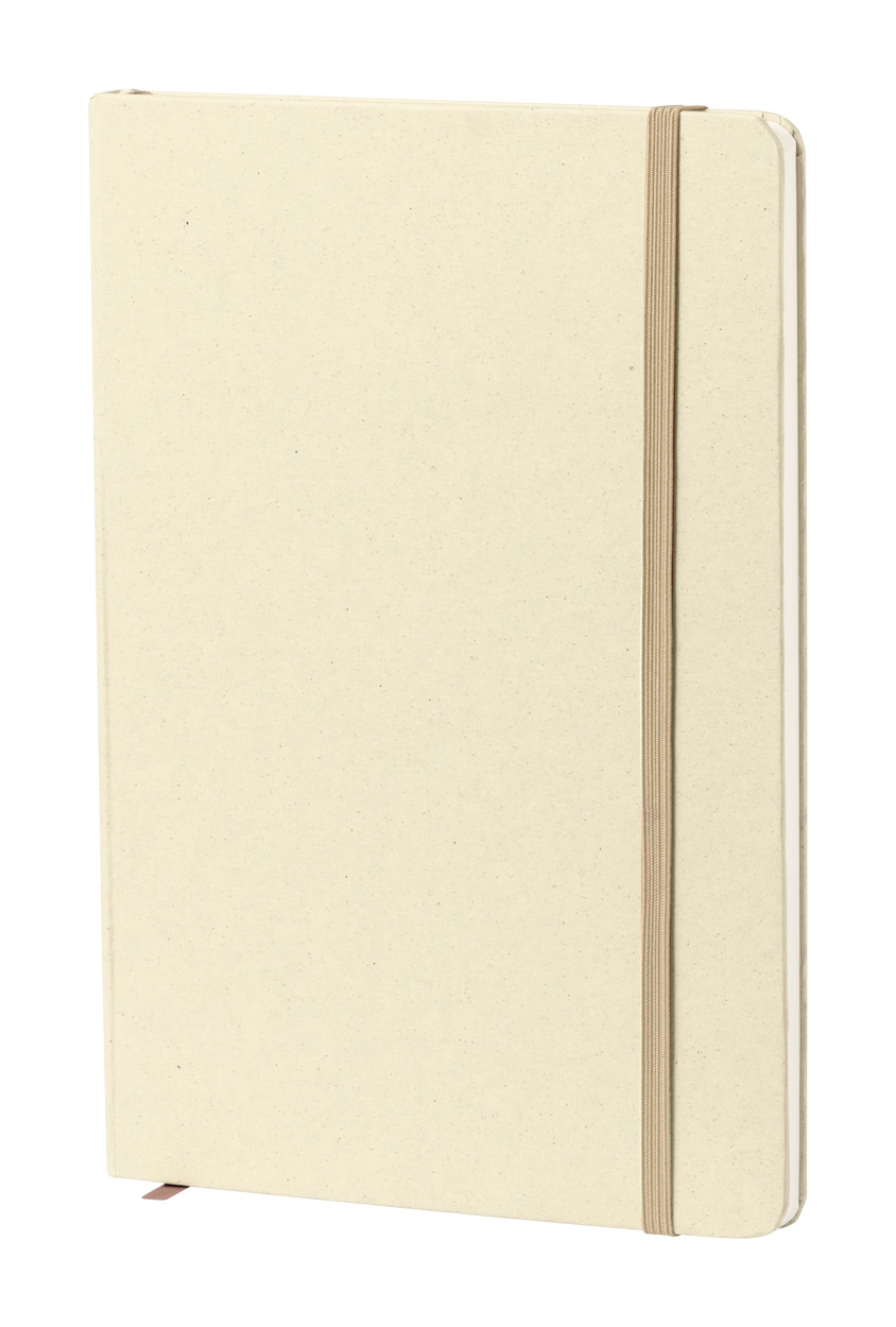 Notes  P119955D AN-AP734206-W