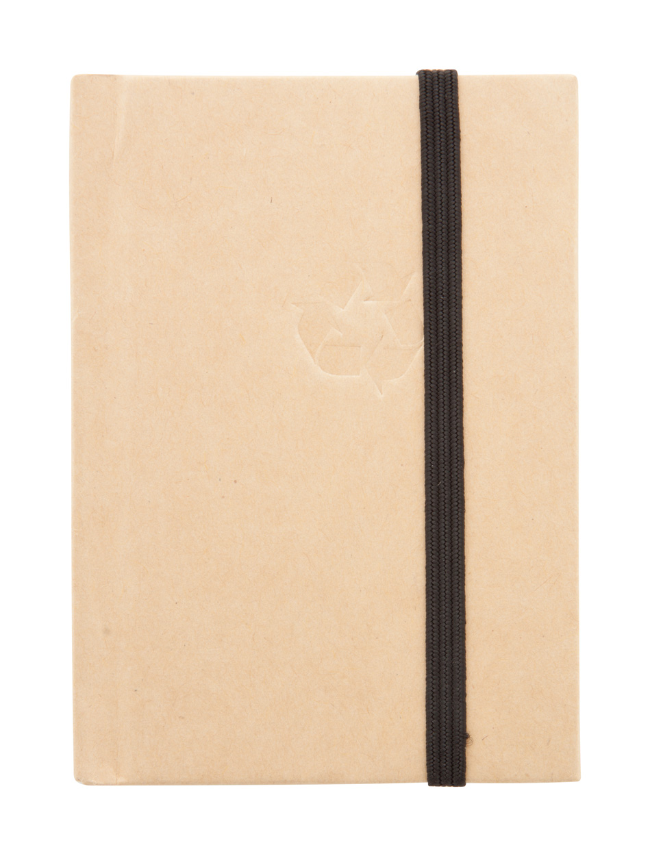 Notatnik P111500D AN-AP791336