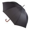 Parasol P111843D