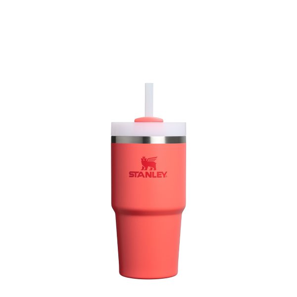 Stanley Quencher H2.O FlowState 0.6 L P120119P hot coral