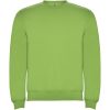 Bluza Clasica KIDS P078920C oasis green