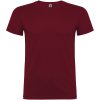 Beagle koszulka dziecięca z krótkim rękawem P078185C garnet