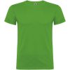 Beagle koszulka dziecięca z krótkim rękawem P078185C grass green