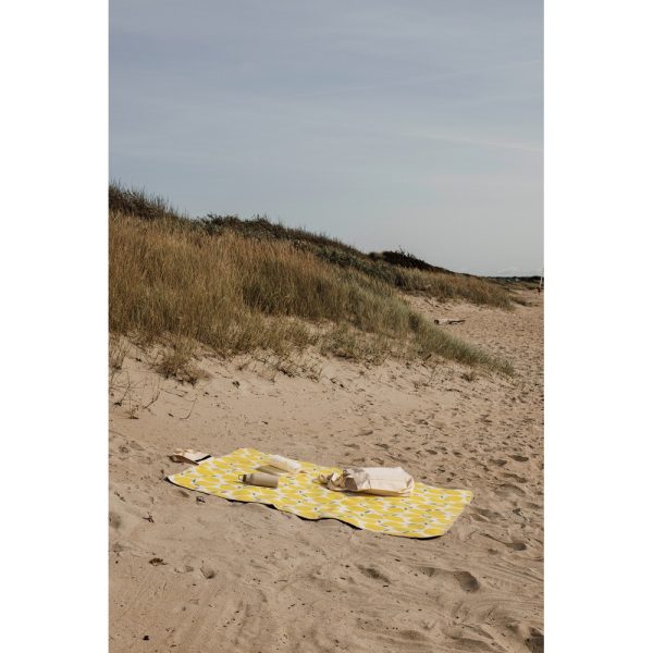 Koc piknikowy VINGA Arwe GRS P104940X