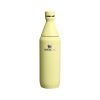 Stanley butelka All Day Slim 0.6 L P093184P pomelo