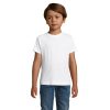 REGENT F Dziecięcy T-SHIRT P123756O bialy