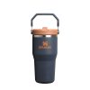 Stanley IceFlow Flip Straw 0.6L P120125P twilight