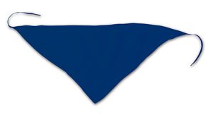 Bandana P122277D AN-AP761012-06A